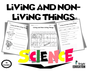 Living and Non-Living Things – Science Review Activity
