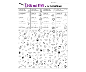 Look and Find! - In the Ocean Theme