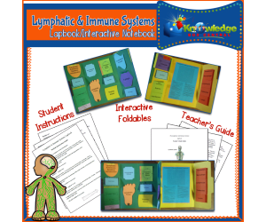 Lymphatic & Immune Systems Lapbook / Interactive Notebook - EBOOK