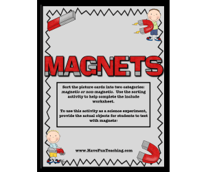 Magnet Activity