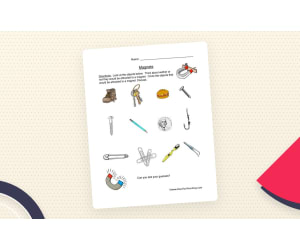 Magnetic Objects Worksheet