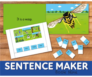 Make Sentences With The Sentence Maker: Book 9 (4-7 years)