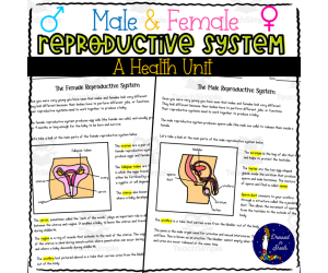 Male and Female Reproductive Systems A Health Unit