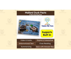 Mallard Duck Facts | Interactive Science Lesson | Micro-Learning Deck