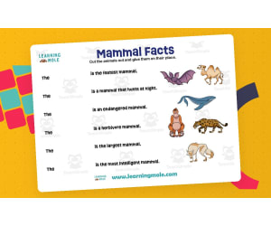 Mammals Activity – Animals Around the World
