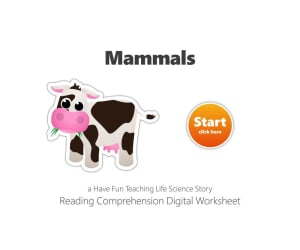Mammals Reading Comprehension Digital Worksheet