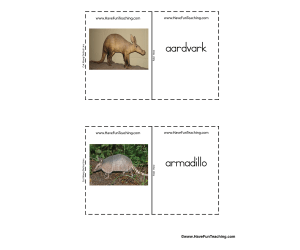 Mammals Real Life Flash Cards