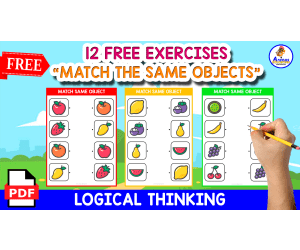 MATCH THE SAME OBJECT | WITH FRUITS ICONS