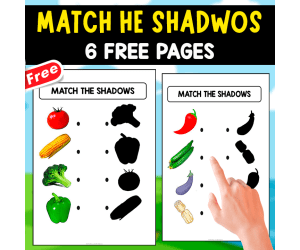 MATCH THE SHADOWS | 6 FREE WORKSHEETS