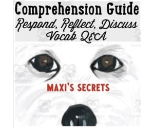Maxi's Secrets Discussion Questions