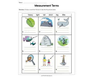 Measurement Terms Worksheet