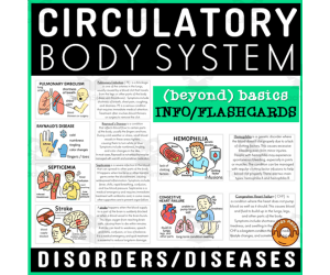 Medical Terminology Flashcard Human Body Circulatory System Disorders