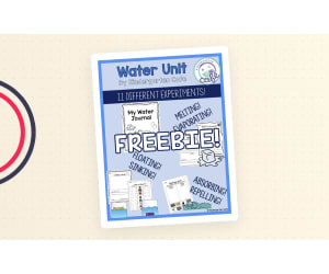 Melting Ice Experiment | Water Unit Journal