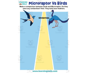 Microraptor Vs Birds Activity