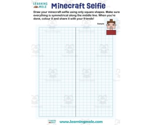 Minecraft Selfie Activity