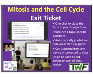Mitosis and the Cell Cycle - Digital Exit Ticket and Review Activity