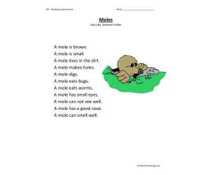 Moles Reading Comprehension Worksheet