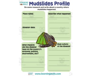 Mudslides Activity
