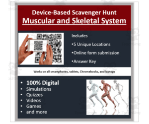 Muscular and Skeletal System – A Digital Scavenger Hunt Activity