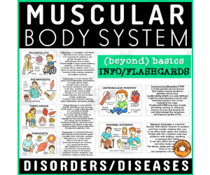 Muscular System Health Terminology Flashcard Disorders Diseases