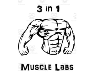 Muscular System ~ Muscle Labs Package