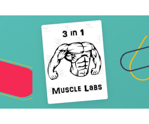 Muscular System ~ Muscle Labs Package