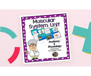 Muscular System Unit