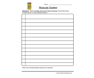Muscular System Writing Worksheet
