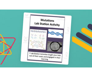 Mutations – Lab Station Activity