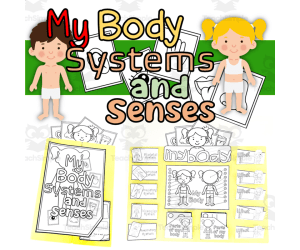 My Body Systems And Senses Lapbook