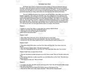 My Brother Sam Chapter Questions