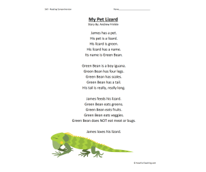 My Pet Lizard Reading Comprehension Worksheet