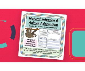 Natural Selection & Animal Adaptations Worksheets 4th 5th 6th 7th Gr