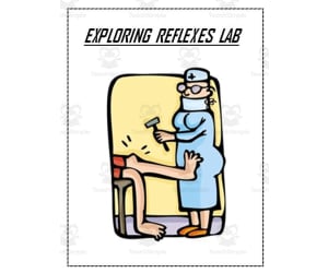 Nervous System ~ Exploring Reflexes Lab