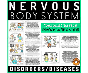 Nervous System Medical Terminology Flashcard Disorders Diseases