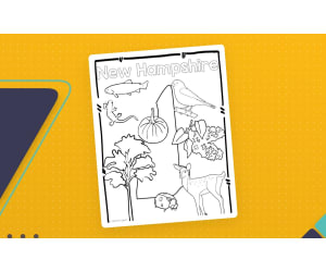 New Hampshire State Symbols Clip Art