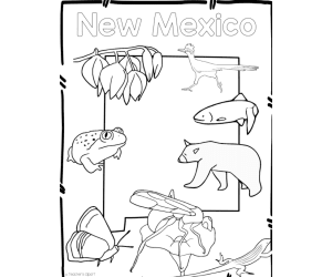 New Mexico State Symbols Clip Art