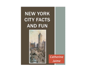 New York City Facts and Fun - eBook