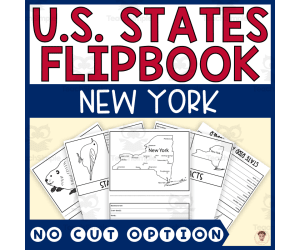 New York State Flipbook (Capital, Bird, Flower, Flag, Animal)