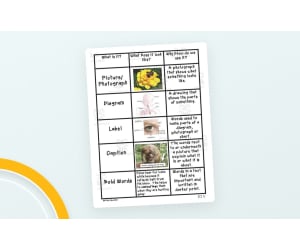 Nonfiction Text Features – Anchor Chart Set