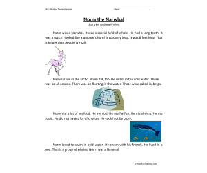 Norm The Narwhal Reading Comprehension Worksheet