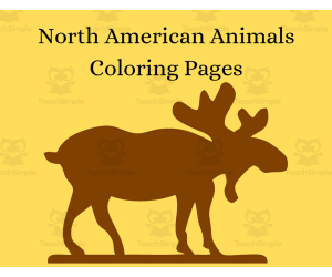 North American Animals Coloring Pages