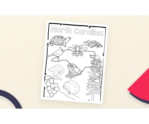 North Carolina State Symbols – Clip Art Set