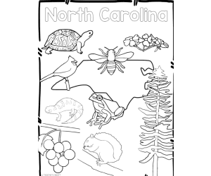 North Carolina State Symbols Clip Art