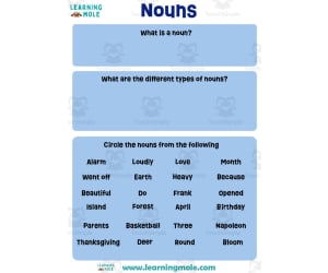 Nouns Activity