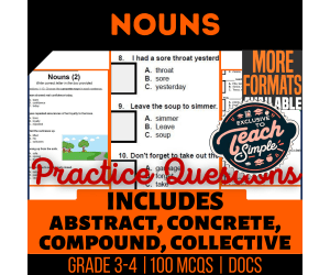 Nouns Practice Questions - Grade 3-4 Grammar (Google Docs)
