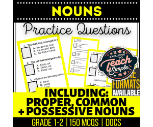 Nouns Practice Questions - Grades 1-2 Grammar (Docs)