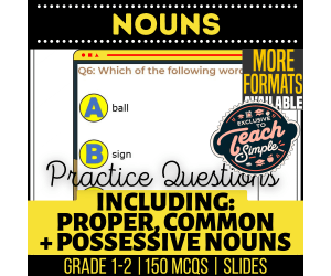 Nouns Practice Questions - Grades 1-2 Grammar (Slides)