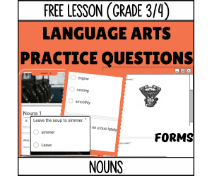 Nouns Sample: Grammar Grade 3-4 (Google Forms)