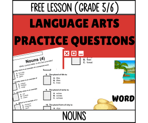 Nouns Sample Lesson - Grammar Grade 5-6 (Word)